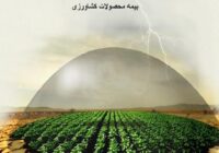 کاهش ۲۵ برابری سطح پوشش بیمه کشاورزی در آذربایجان‌شرقی