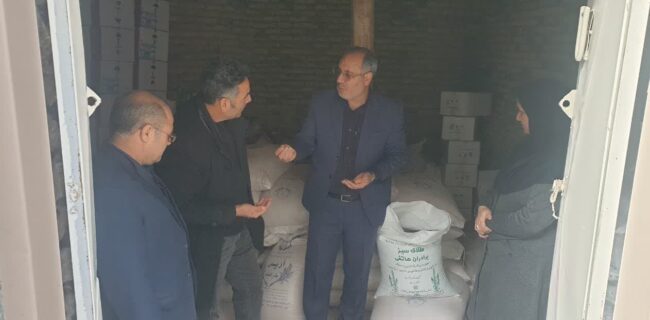 کشت بذر اصلاح شده اقتصاد کشاورزان اهر را به شکوفایی می رساند